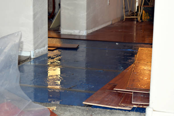 Professional Burst Pipe Cleanup technician working in Erie, ND